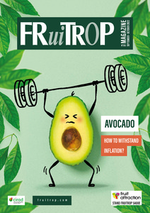 Magazine's thumb Magazine FruiTrop n°283 (mercredi 28 septembre 2022)